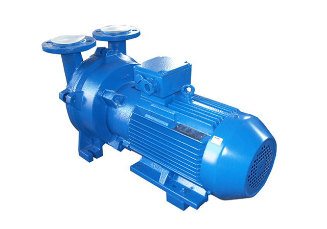 2bv5 Liquid Ring Vacuum Pump Compressor