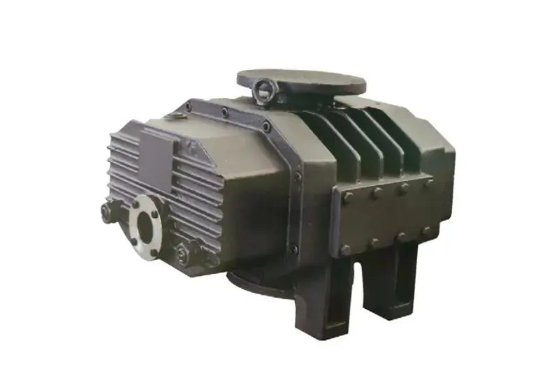 Gas-circulating Roots vacuum pump