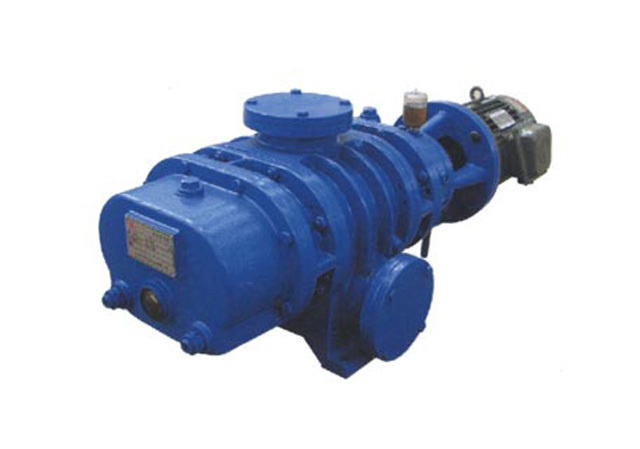 ZJ Roots Vacuum Pump