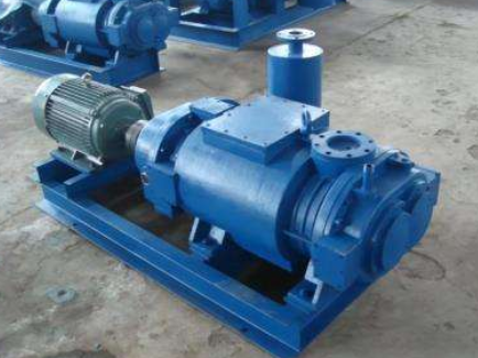 Factors Affecting the Operation of Water-Ring Vacuum Pumps